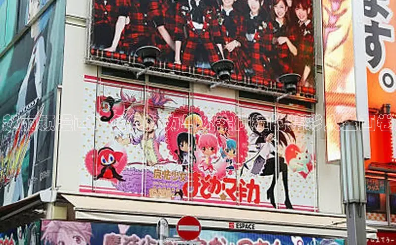 51动画网页版官网