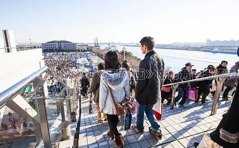 五一动画网页版